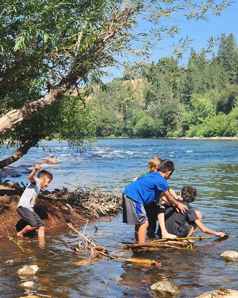Youth playing in water near a riverbank