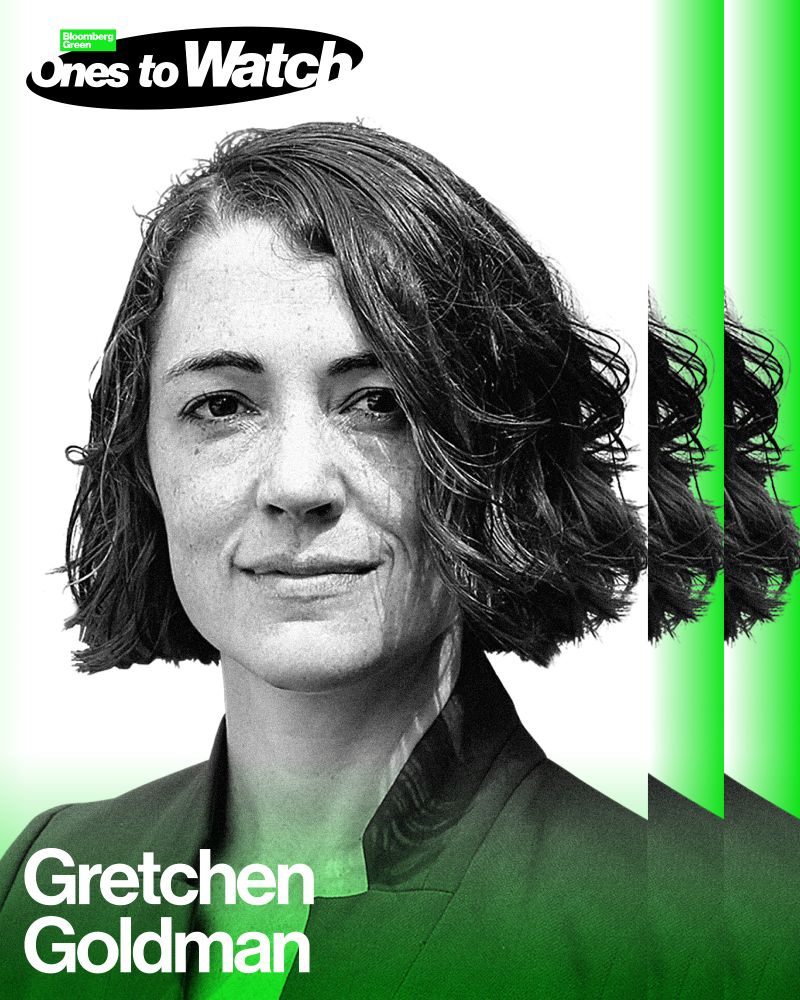 My headshot designed with "Bloomberg Green Ones to Watch" text