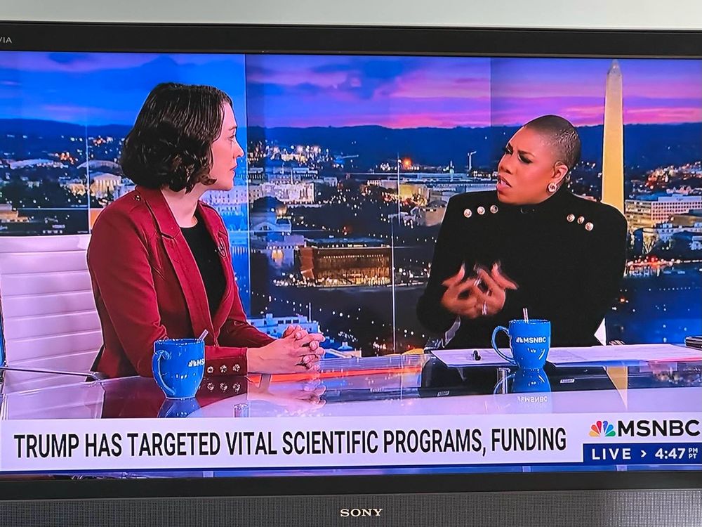 Still shots of me on MSNBC with Symone Sanders Townsend.