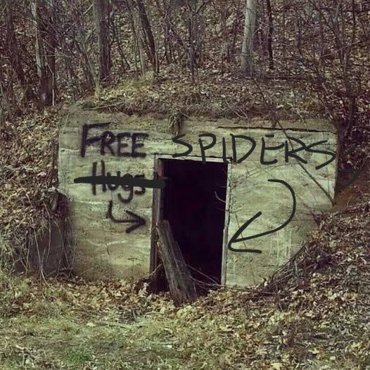 Creepy wooden-walled low hut in the woods. A sign spray painted on the front says 'FREE HUGS' with an arrow pointing to the dark entryway. Spooky. In this edited image the word 'HUGS' has a line drawn through it and the sign now reads: 'FREE SPIDERS'