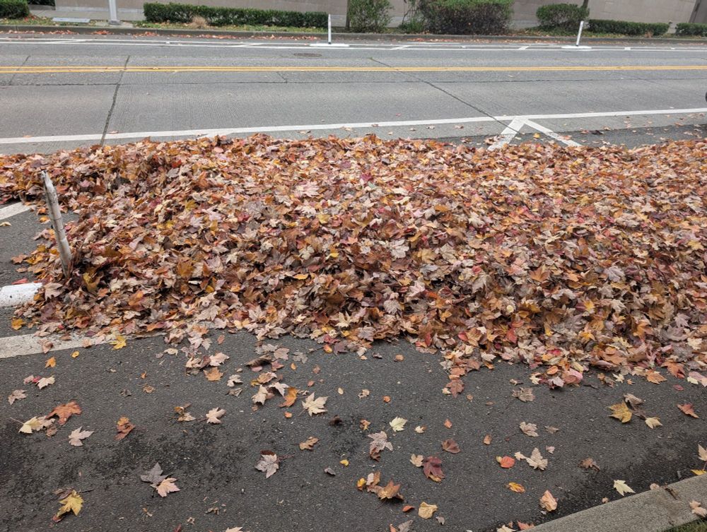 A photograph of a massive pile of leaves smothering the parking lane on a street.