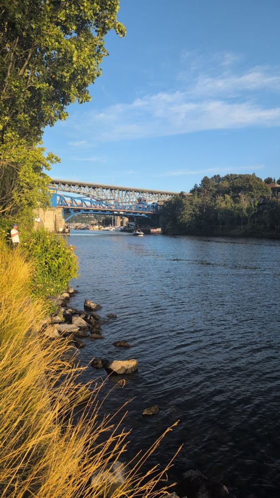 A photo taken from a grassy edge of a narrow passage of water. In the distance is a small blue steel bridge. Beyond that is a massive grey bridge. 
