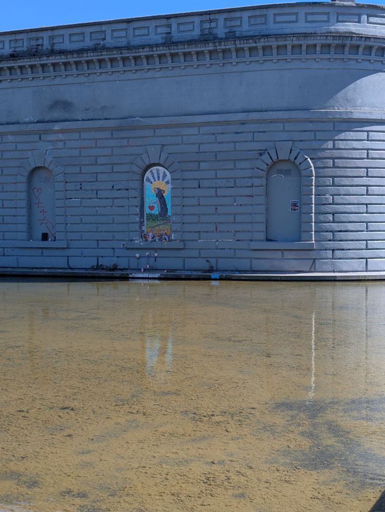 Hot Rat Summer from a distance, with the murky brown water from a shallow fountain laid out before it.