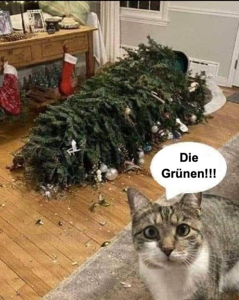 Katze vor umgekippten Weihnachtsbaum 'die Grünen'