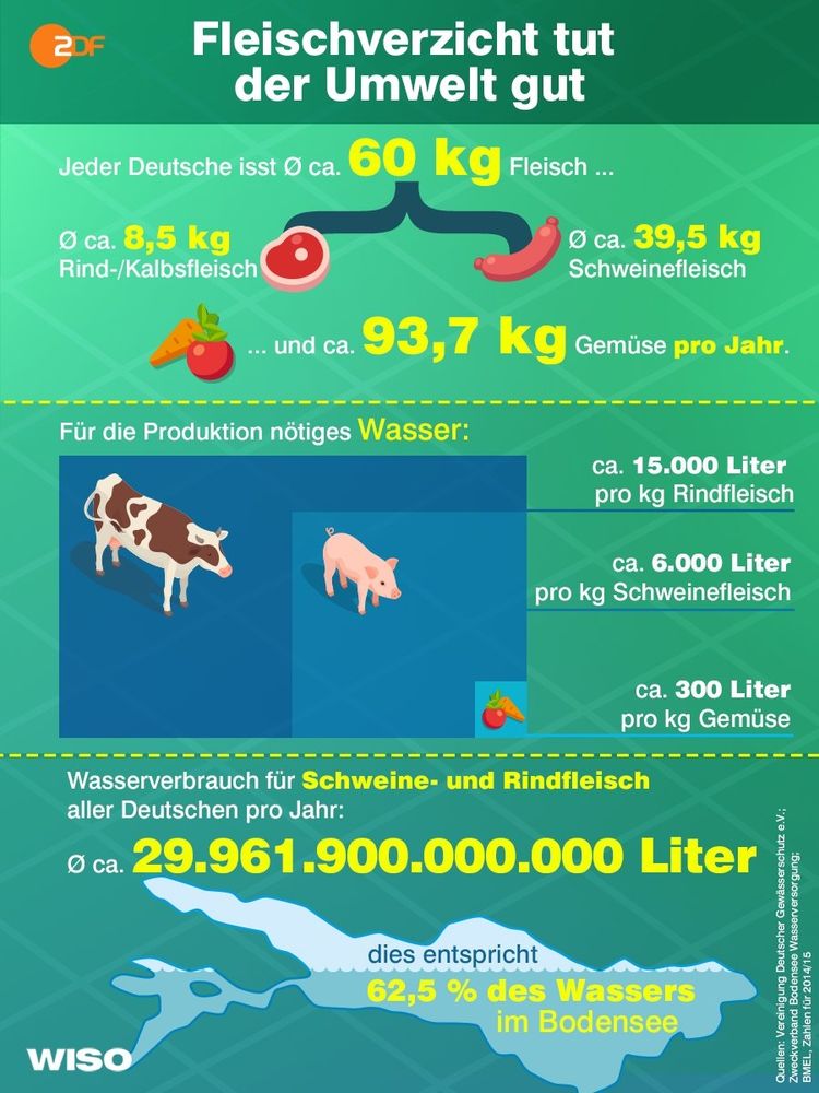 Schaubild ZDF Fleischverzicht tut der Umwelt gut... Wasserverbrauch für Schweine und Rindfleisch aller deutschen pro Jahr ca 62,5% des Wassers im Bodensee....