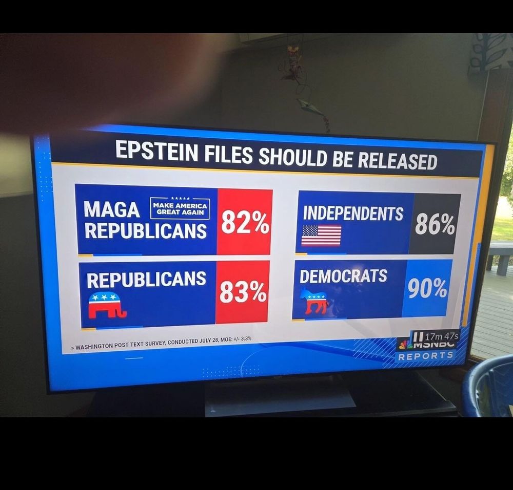 Epstein files should be released,Over 80% of Americans want the publication