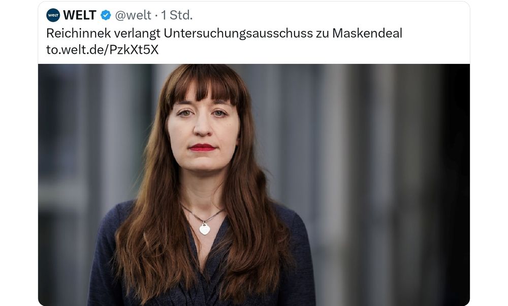 Heidi reichinnek verlangt untersuchungsausschuss zum Maskendeal 