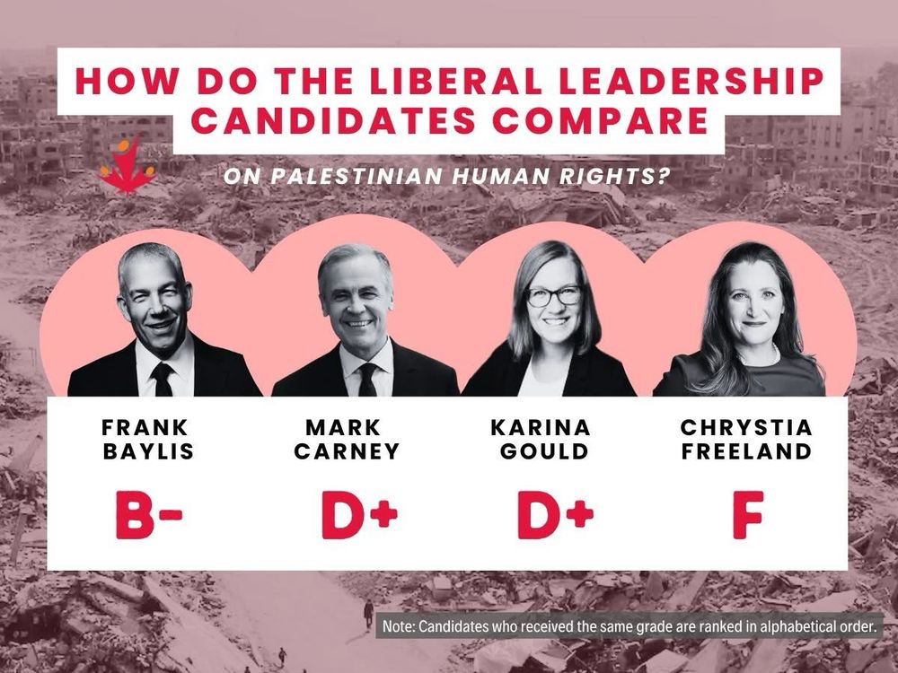 Graphic with photos of the four Liberal leadership candidates. The text reads: How do the Liberal Leadership candidates compare on Palestine human rights? 

Frank Baylis: B-
Mark Carney: D+
Karina Gould: D+
Chrystia Freeland: F