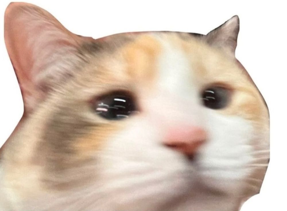 Panko, a cat, is being blurry and sad

(@fatfatpankocat on IG) 