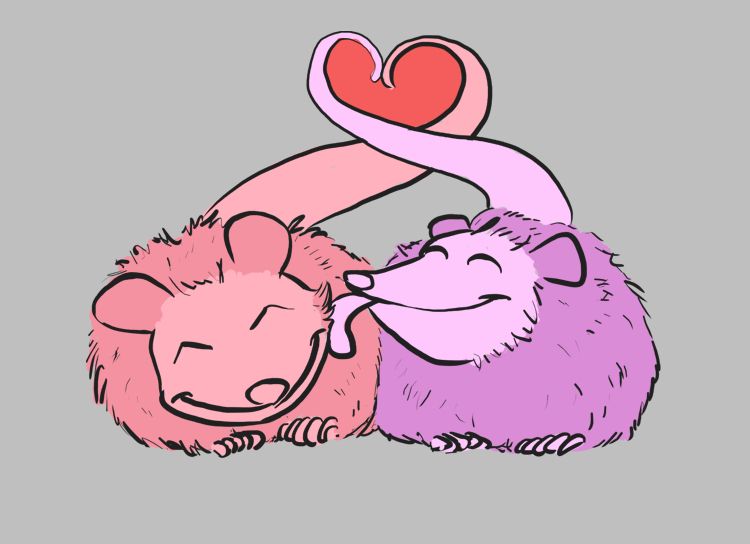 A digital drawing of two possums lying down and facing forward, their tails curled together to form a kind of heart. One possum is made of pinktones and the other of purples. The purple one on the right side of the image is licking the cheek of the pink one. Both are happy, both are cute. Yes.