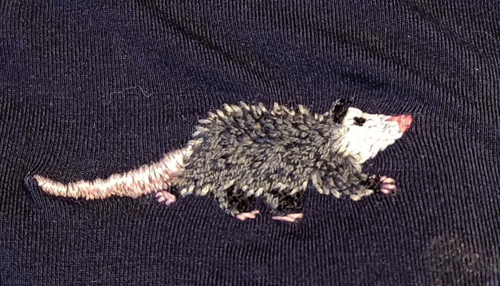 Some embroidery of a possum doing a big steppie.