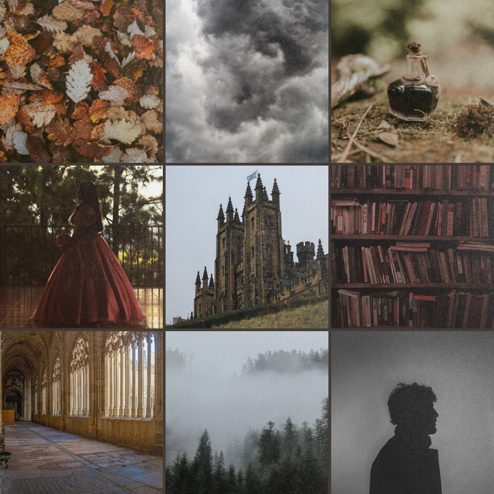 Nine photos. Top left photo is autumn leaves on the ground. Top center photo is swirling clouds. Top right photo is a black potion in a glass bottle on the ground. Middle left photo is of a young woman in a ballgown. Middle photo is a gothic building. Middle right photo is of bookshelves. Bottom left photo is a gothic corridor. Bottom center photo is a foggy forest. Bottom right photo is a silhouette of a man.