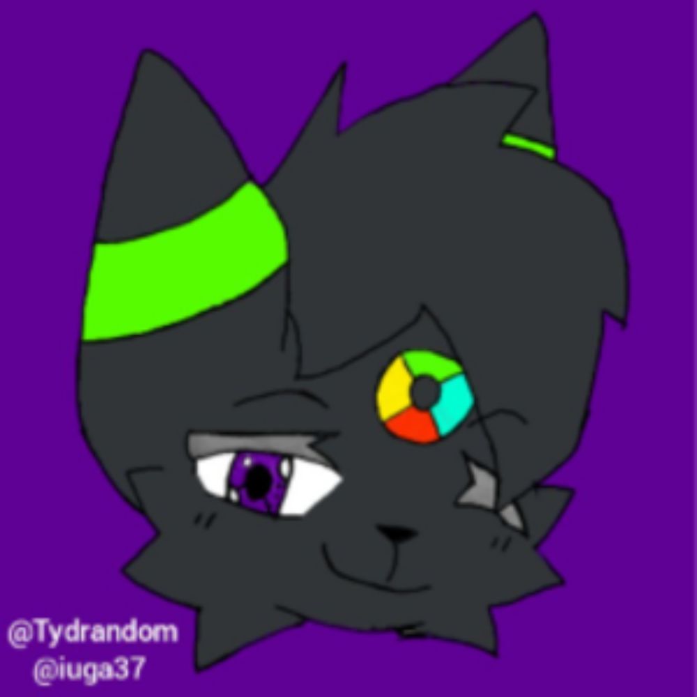 TyrdTheUmbreon - Twitch