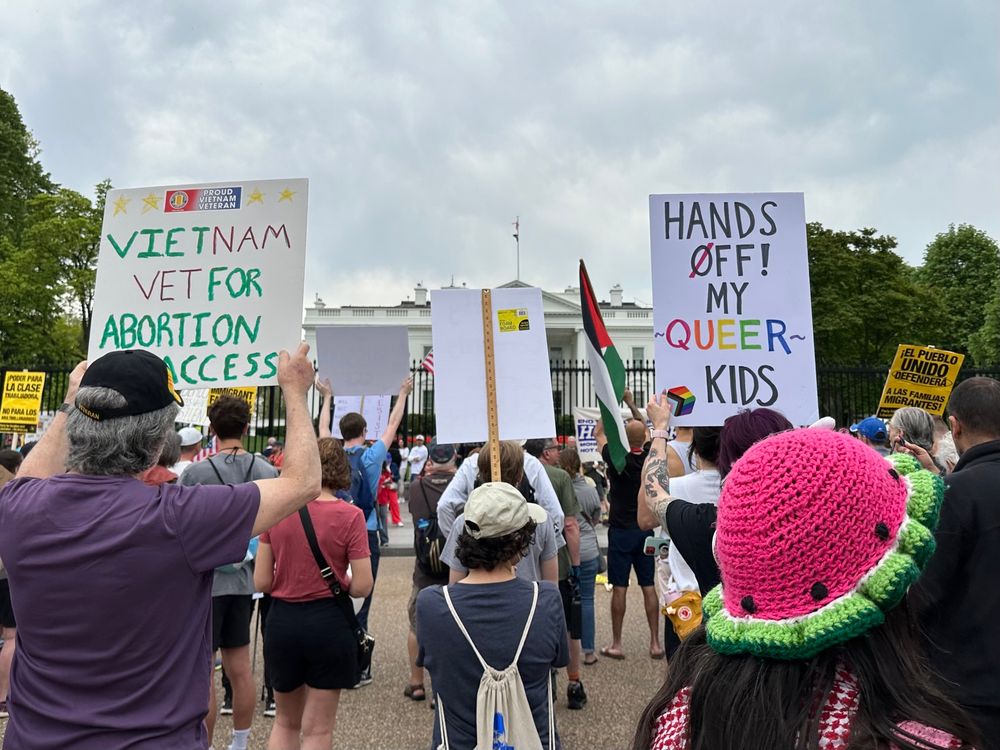 Protesters at the White House: Vietnam Vet for Abortion Rights & Hands off my quest kids and watermelon hat