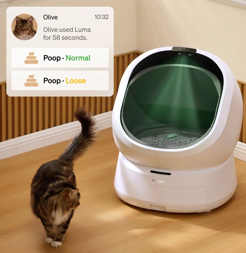 ad for automated litter box, showing cat walking away from litter box. app screenshot inlaid: cat used toilet for 58 seconds. poop - normal, poop - loose