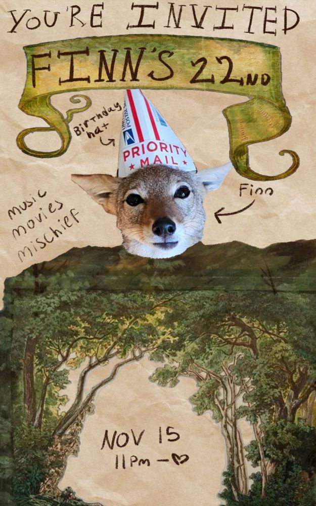 A collage style poster for a birthday party. The background is brown paper, ontop of it is a green banner, an artistically drawn forest & a coyote wearing a 'priority mail' box as a birthday hat. The words read 'you're invited, Finn's 22nd birthday' 'nov 15, 11pm- ♡ ' 'music, movies, mischief' arrows point at the coyote reading 'birthday hat' & 'finn' 