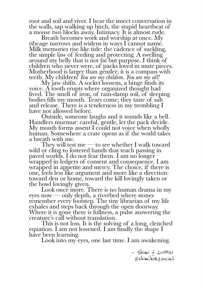 I hear the insect conversation in the walls, sap walking up birch, the stupid heartbeat of a mouse two blocks away. Intimacy. It is almost rude.
	Breath becomes work and worship at once. My ribcage narrows and widens in ways I cannot name. Milk memories rise like tide: the cadence of suckling, the simple law of feeding and protecting. A swelling around my belly that is not fat but purpose. I think of children who never were, of packs loved in mute pieces. Motherhood is larger than gender; it is a compass with teeth. My children! You are my children. You are my all!
	My jaw shifts. A socket loosens, a hinge finds its voice. A tooth erupts where organized thought had lived. The smell of iron, of rain-damp soil, of sleeping bodies fills my mouth. Tears come; they taste of salt and release. There is a tenderness in my trembling I have not allowed before.
	Outside, someone laughs and it sounds like a bell. Handlers murmur: careful, gentle, let the pack decide. My mouth forms assent I could not voice when wholly human. Somewhere a crate opens as if the world takes a breath with me.
	They will test me — to see whether I walk toward wild or cling to fostered hands that teach passing in paved worlds. I do not fear them. I am no longer wrapped in ledgers of consent and consequence. I am wrapped in appetite and mercy. The choice, if there is one, feels less like argument and more like a direction: toward den or home, toward the kill lovingly taken or the bowl lovingly given.
	Look once more. There is no human drama in my eyes now — only depth, a riverbed where stones remember every footstep. The tiny librarian of my life exhales and steps back through the open doorway. Where it is gone there is fullness, a pulse answering the creature’s call without translation.
	This is not loss. It is the solving of a long, clenched equation. I am not lessened. I am finally the shape I have been learning.
	Look into my eyes, one last time. I am awakening.
— Shimi & Critter
@shimi.bsky.social