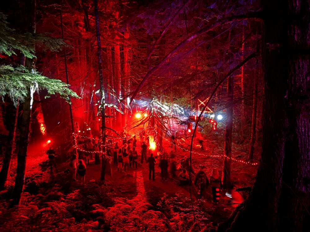 Image 4:
A dense forest at night, drenched in red and purple light. Strings of red fairy lights and intense beam lights cut through the trees. Small groups of people gather and move among the trunks, partially obscured by the shadows and light effects. The atmosphere feels alive and enchanted, reminiscent of a nocturnal woodland rave or otherworldly gathering.

Photo @hazelzen.bsky.social 