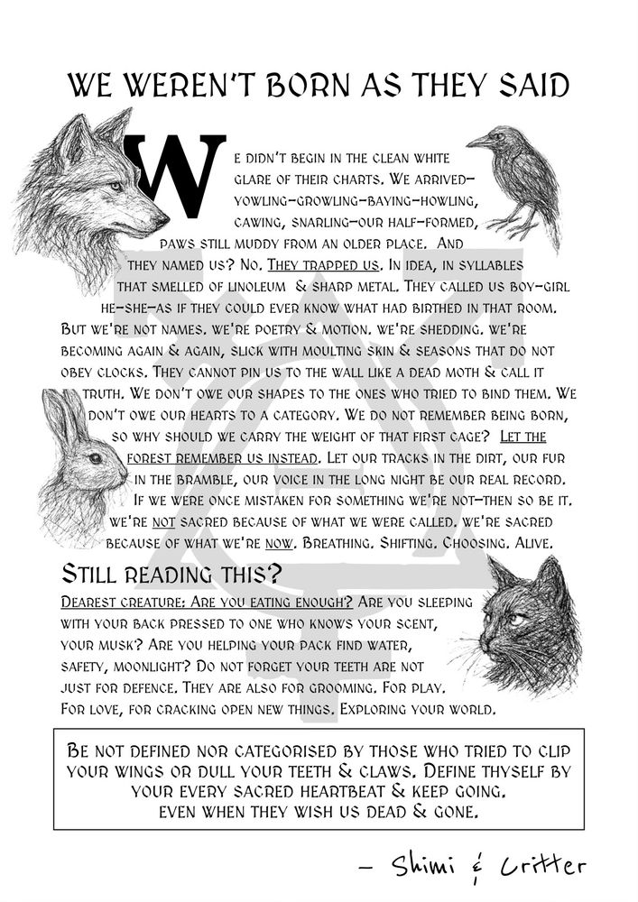 A B&W poster” “WE WEREN’T BORN AS THEY SAID,” with poetic text about creaturely identity, defiance of naming systems, & embracing transformation. The design is chaotic & natural, with pencil-style animal drawings in each corner: a wolf (top left), a raven (top right), a rabbit (bottom left), & a cat (bottom right). Each is sketched with textured lines

We didn’t begin in the clean white glare of their charts. We arrived—yowling-growling-baying-howling, cawing, snarling—our half-formed, paws still muddy from an older place.  And they named us? No. They trapped us. In idea, in syllables that smelled of linoleum  & sharp metal. They called us boy-girl he-she—as if they could ever know what had birthed in that room. But we're not names. we're poetry & motion. we're shedding. we're becoming again & again, slick with moulting skin & seasons that do not obey clocks. They cannot pin us to the wall like a dead moth & call it truth. We don’t owe our shapes to the ones who tried to bind them. We don’t owe our hearts to a category. We do not remember being born, so why should we carry the weight of that first cage?  Let the forest remember us instead. Let our tracks in the dirt, our fur in the bramble, our voice in the long night be our real record. If we were once mistaken for something we're not—then so be it. we're not sacred because of what we were called. we're sacred because of what we're now. Breathing. Shifting. Choosing. Alive.  
Still reading this?
Dearest creature: Are you eating enough? Are you sleeping with your back pressed to one who knows your scent, your musk? Are you helping your packs find water, safety, moonlight? Do not forget your teeth are not just for defence. They are also for grooming. For play. For love, for cracking open new things. Exploring your world.
Be not defined nor categorised by those who tried to clip your wings or dull your teeth & claws. Define thyself by your every sacred heartbeat & keep going. Even when they wish us dead & gone.

