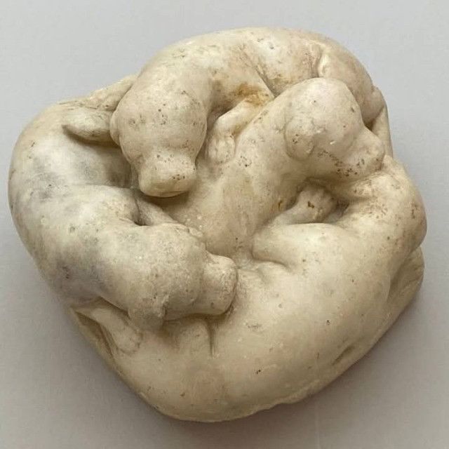 Photograph of a pale, worn marble sculpture depicting four curled puppies—nestled together in a compact circle. The margle stone is smoothed with age, with softened details and patches of discoloration, but the rounded forms of the animals remain clear, creating a sense of intimacy and shared rest.