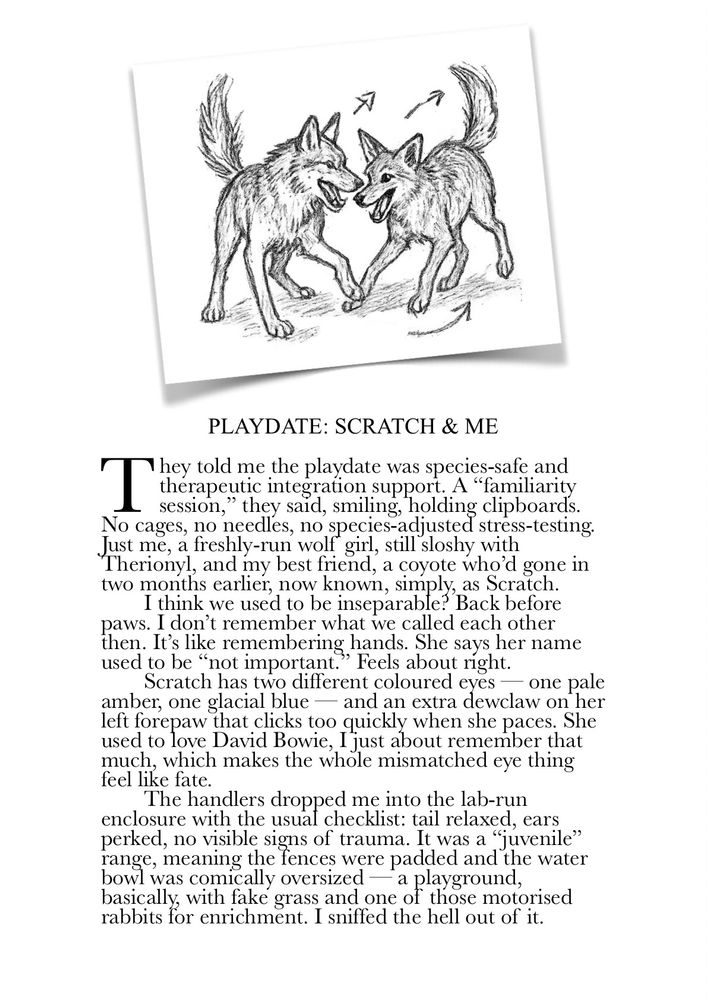 Page 3 – PlayDate: Scratch & Me (Opening)
Alt text:

Reused cover Illustration of WLF-7 and Scratch a coyote  facing each other playfully above the title PlayDate: Scratch & Me:

They told me the playdate was species-safe and therapeutic integration support. A “familiarity session,” they said, smiling, holding clipboards. No cages, no needles, no species-adjusted stress-testing. Just me, a freshly-run wolf girl, still sloshy with Therionyl, and my best friend, a coyote who’d gone in two months earlier, now known, simply, as Scratch.
	I think we used to be inseparable? Back before paws. I don’t remember what we called each other then. It’s like remembering hands. She says her name used to be “not important.” Feels about right.
	Scratch has two different coloured eyes — one pale amber, one glacial blue — and an extra dewclaw on her left forepaw that clicks too quickly when she paces. She used to love David Bowie, I just about remember that much, which makes the whole mismatched eye thing feel like fate.
	The handlers dropped me into the lab-run enclosure with the usual checklist: tail relaxed, ears perked, no visible signs of trauma. It was a “juvenile” range, meaning the fences were padded and the water bowl was comically oversized — a playground, basically, with fake grass and one of those motorised rabbits for enrichment. I sniffed the hell out of it.


