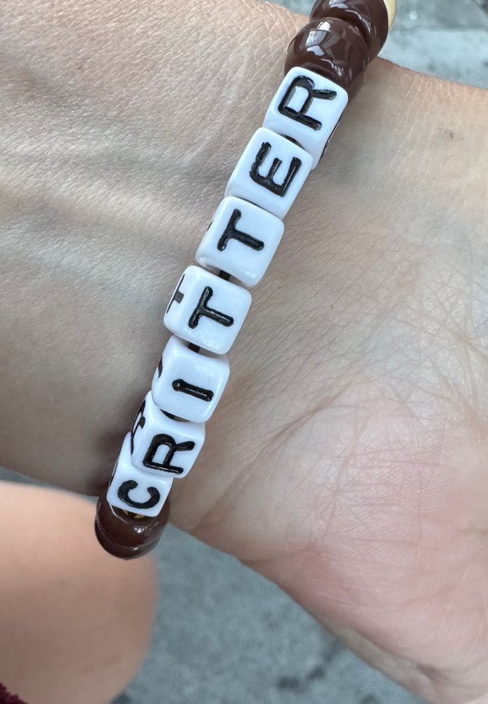 A close-up of Shimi’s back wrist wearing a classic kandi-style bracelet. It’s made from shiny brown, beige, orange beads and white cube letter beads spelling out the word “CRITTER” in black. On the other side is SHIMI — denoting who is fronting. The vibe is playful and handmade, made among friends in a Therian DIY crafting afternoon making friendship bracelets.