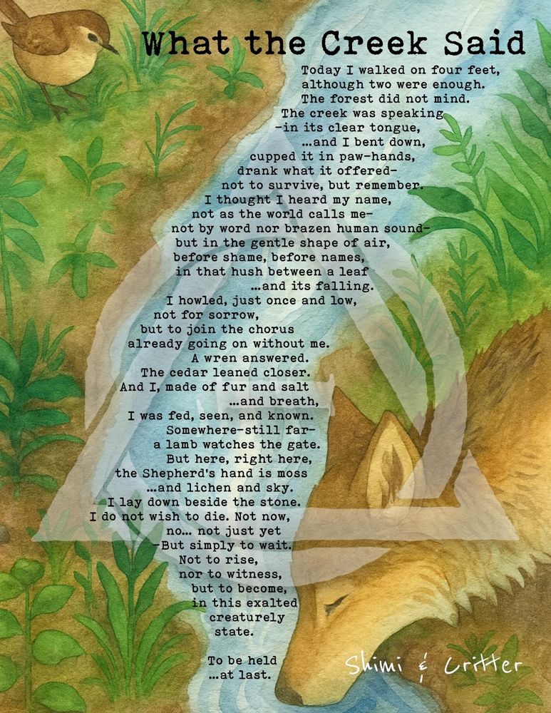 A watercolor illustration titled “What the Creek Said” by Shimi & Critter. On the left, a small brown wren perches among green leaves. A pale blue creek winds down the center of the image, flanked by lush greenery. On the lower right, a golden-brown wolf pup with white markings bends to drink from the stream, eyes closed peacefully. The background is soft earth tones, blending into warm golds and greens.

Overlaying the artwork is a poem in typewriter-style font. The poem is about a creature walking on four feet, communing with the forest, and feeling known and held by the land and sky. It evokes themes of Therian identity, creaturely grace, and spiritual belonging. The final lines express a longing not for death but for transformation—“to become, in this exalted creaturely state… to be held at last.”

What the Creek Said
Today I walked on four feet,
although two were enough.
The forest did not mind.
The creek was speaking 
—in its clear tongue,
…and I bent down,
cupped it in paw-hands,
drank what it offered—
not to survive, but remember.
I thought I heard my name,
not as the world calls me—
not by word nor brazen human sound—
but in the gentle shape of air,
before shame, before names,
in that hush between a leaf 
…and its falling.
I howled, just once and low,
not for sorrow, 
but to join the chorus
already going on without me.
A wren answered.
The cedar leaned closer.
And I, made of fur and salt 
…and breath,
I was fed, seen, and known.
Somewhere—still far—
a lamb watches the gate.
But here, right here,
the Shepherd’s hand is moss
…and lichen and sky.
I lay down beside the stone.
I do not wish to die. Not now, 
no… not just yet
—But simply to wait.
Not to rise, 
nor to witness,
but to become,
in this exalted 
creaturely
state.

To be held 
…at last.
