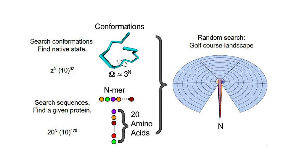 Origins Of life: The Protein Folding Problem All Over Again? - Astrobiology