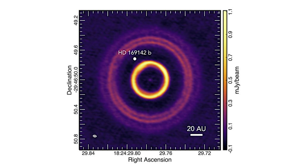 Volatile Composition Of The HD 169142 Disk And Its Embedded Planet - Astrobiology