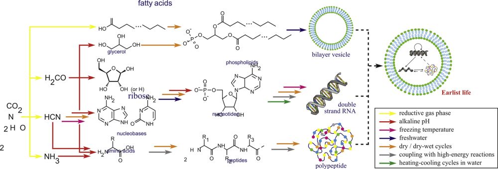 Origins Of The Building Blocks Of Life: A Review - Astrobiology