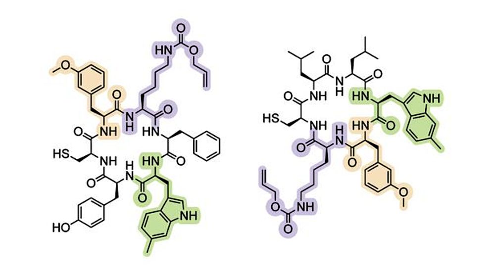 Earth Life's Genetic Alphabet Has Been Expanded To Create Novel Proteins - Astrobiology