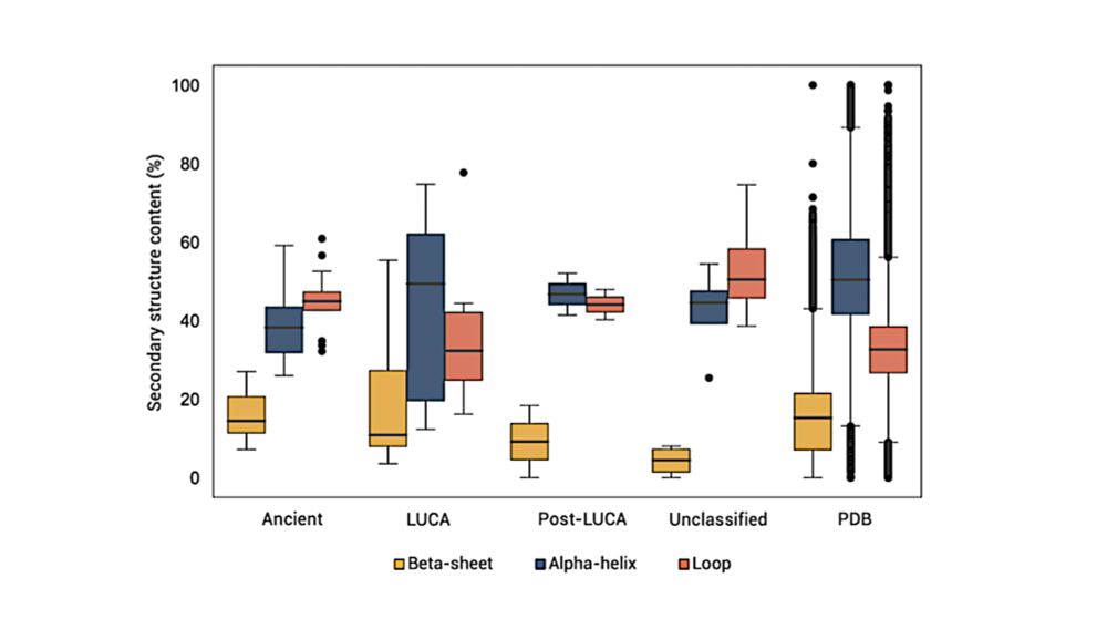 Coenzyme-Protein Interactions Since Early Life - Astrobiology