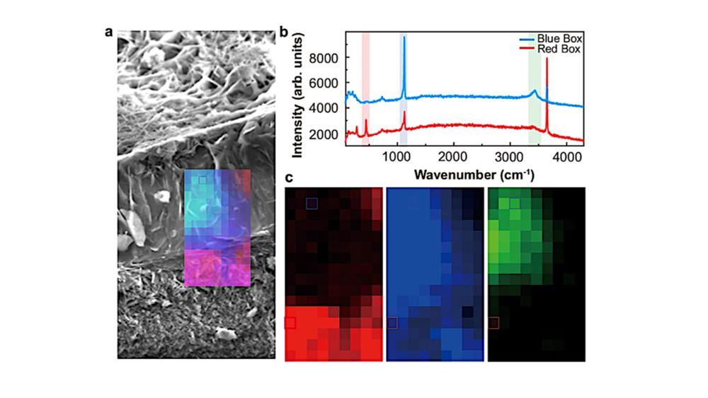 Nanostructures In The Deep Ocean Floor Hint At Life’s Origin - Astrobiology