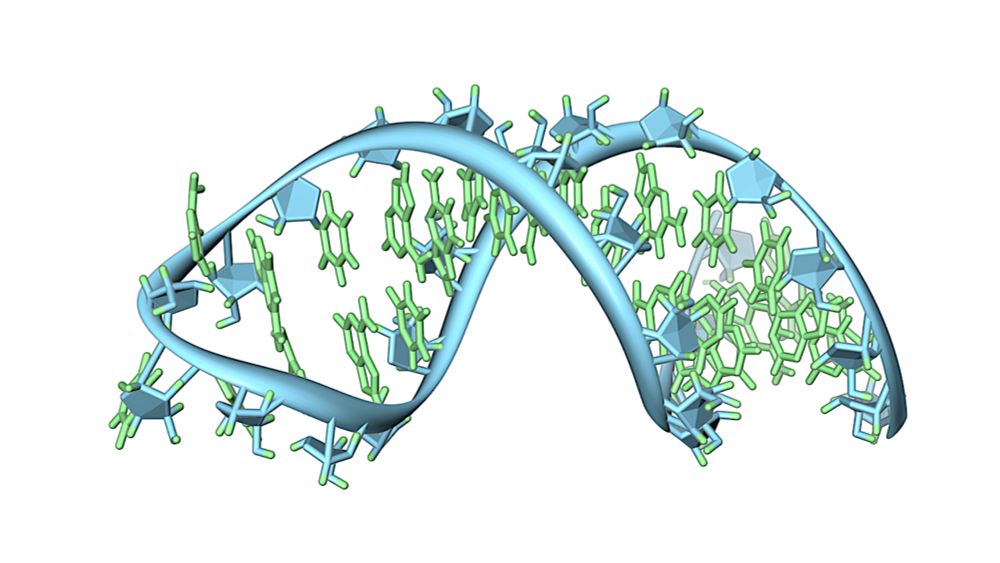 RNA World: Overcoming Nucleotide Bias In The Nonenzymatic Copying Of RNA Templates - Astrobiology