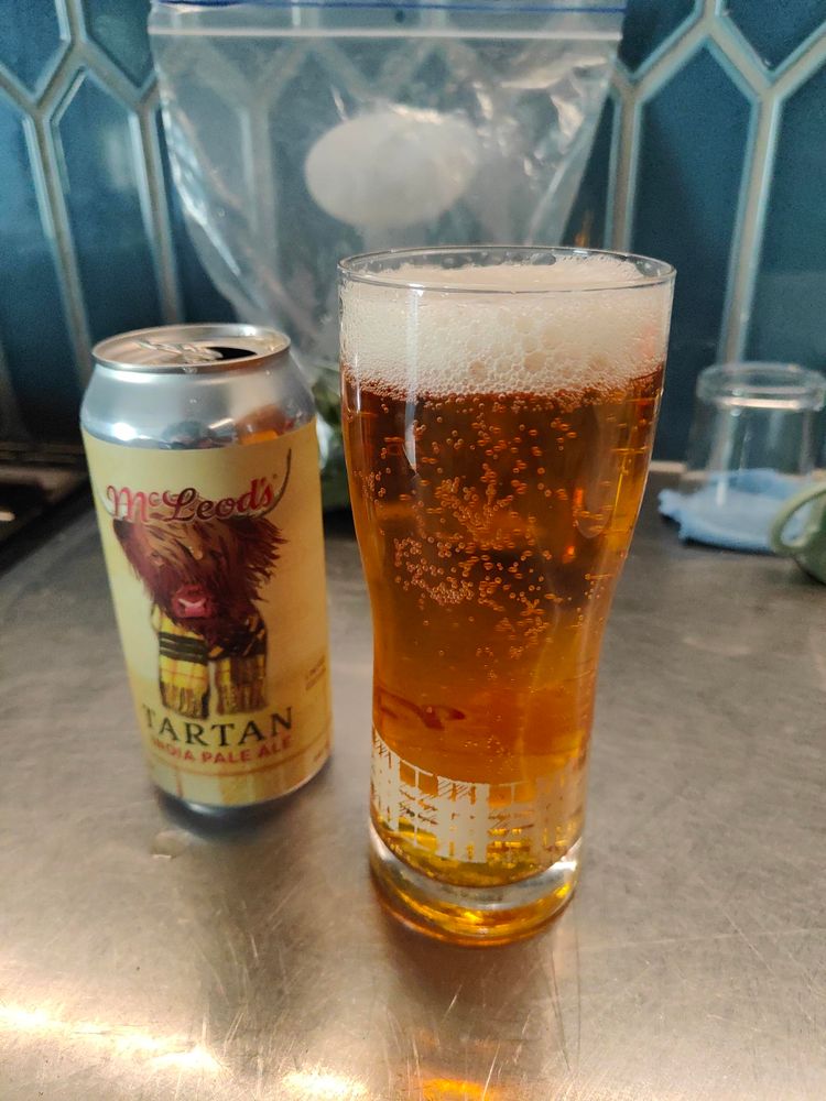 A picture of a full glass of amber ale, with a(n empty) can of McLeod's Tartan IPA featuring a picture of a highland coo wearing a Tartan scarf. On a stainless steel benchtop with a bag of salad greens behind. 