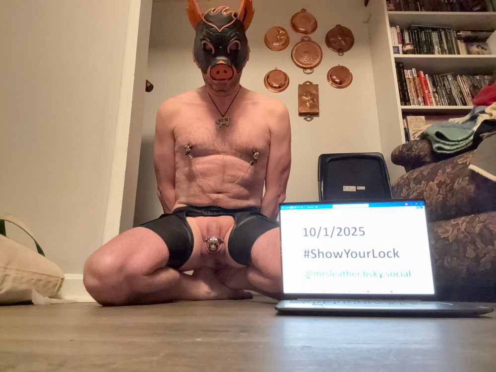 Mr S Challenge