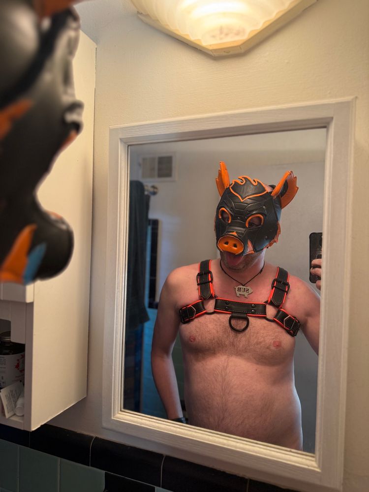 Pig in the mirror 