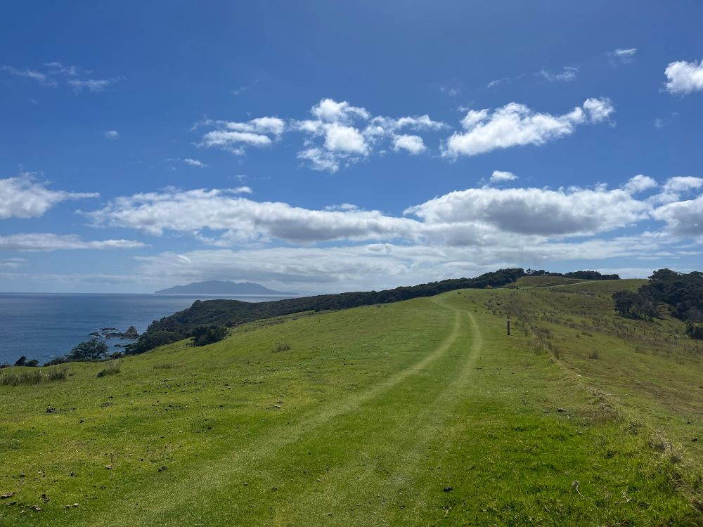 Tawharanui Regional Park