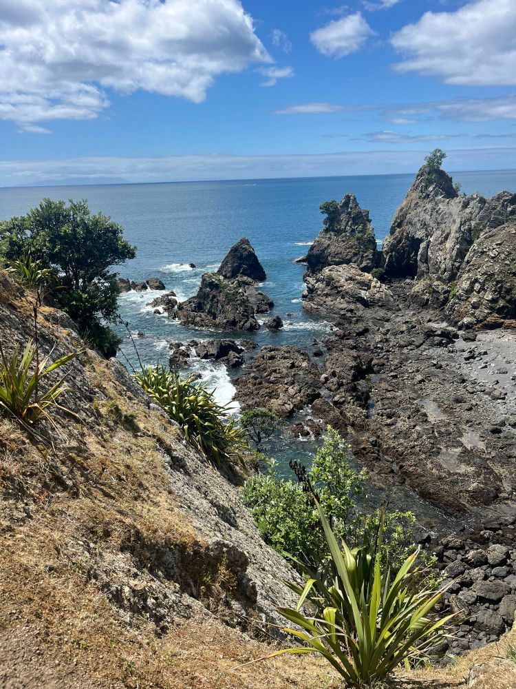 Tawharanui Regional Park
