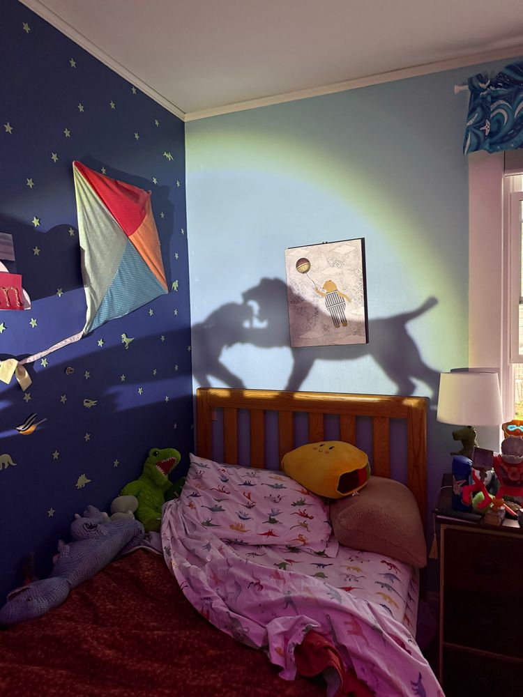 Shadow of lion attacking saber toothed cat on child’s bedroom wall