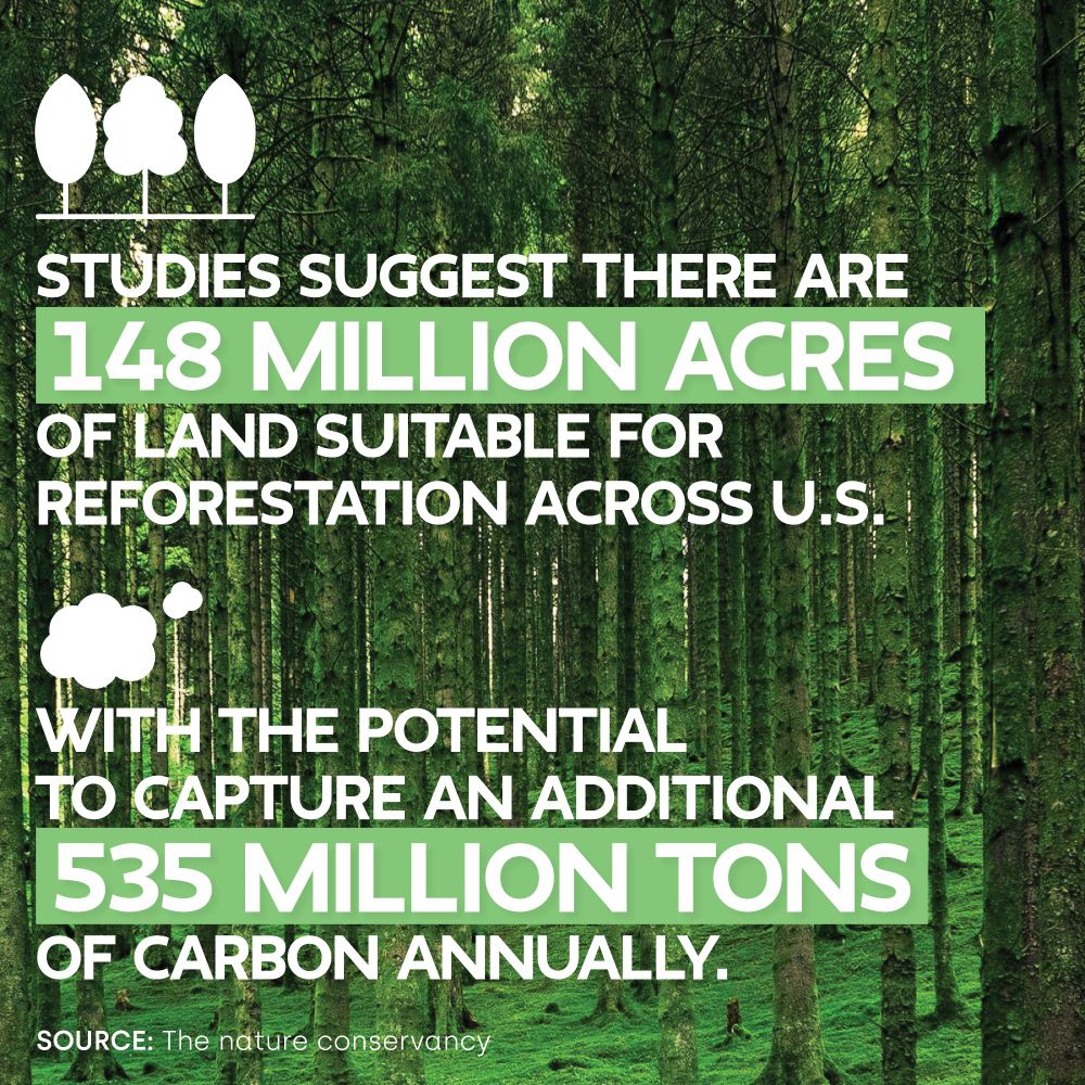 Infographic overlaid on a dense green forest background. It states: “Studies suggest there are 148 million acres of land suitable for reforestation across U.S., with the potential to capture an additional 535 million tons of carbon annually.” At the bottom, the source is listed as The Nature Conservancy. Tree and cloud icons accompany the text.