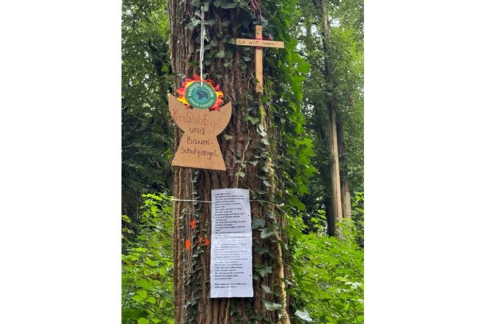 Günstigere Holz- statt Stahlbrücke in den Süchtelner Höhen - Bäume und Hohlweg erhalten! - Online-Petition