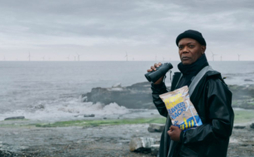 Hollywood star teams up with Swedish energy firm to promote climate and biodiversity benefits of offshore wind farms