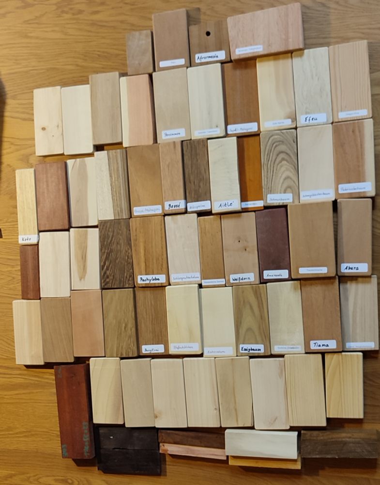 little blocks, maybe about 50,  of different types of wood