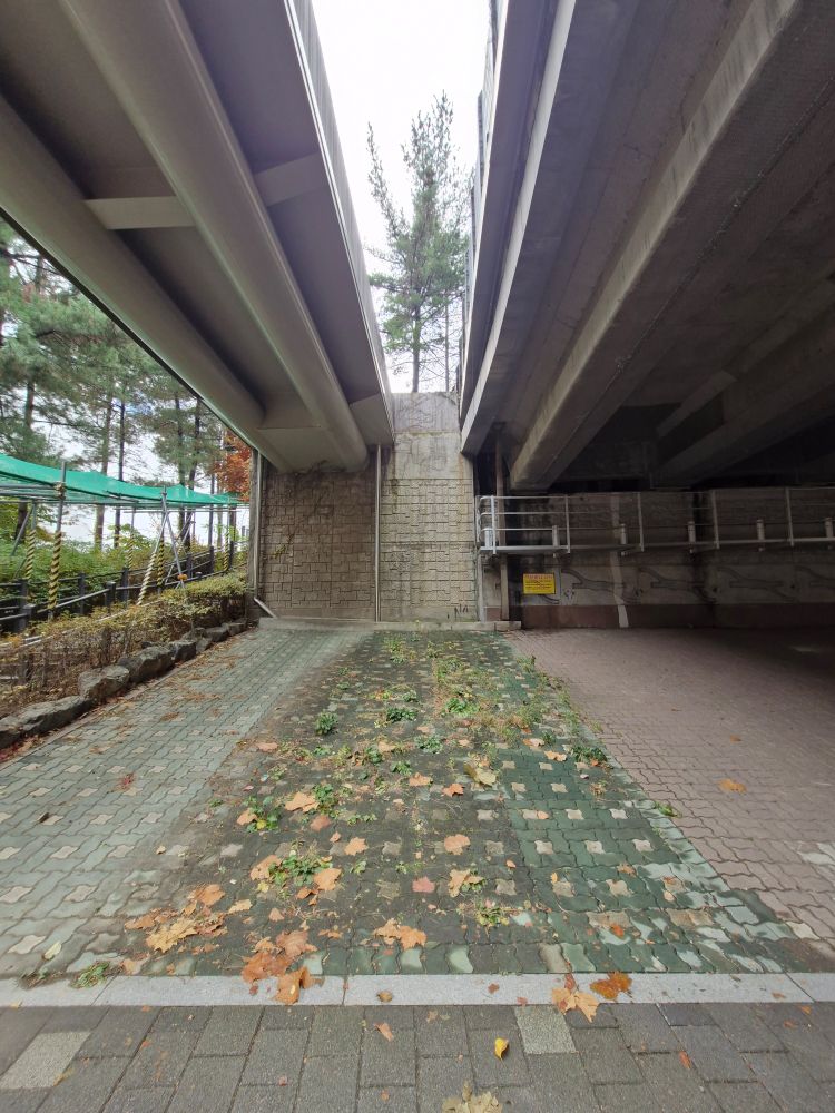 다리 아래 하늘이 지붕이 없는 부분의 보도블럭에만 풀이 자라나 있다