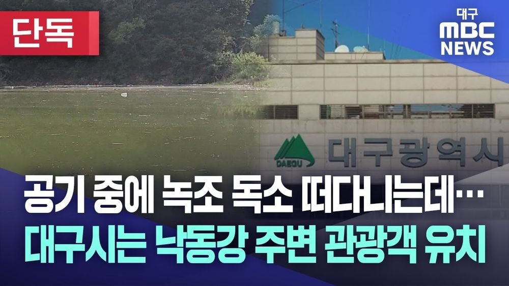 [단독] 공기 중에 녹조 독소 검출된 낙동강 주변서 대구시 관광객 유치 사업 추진 ::::: 기사