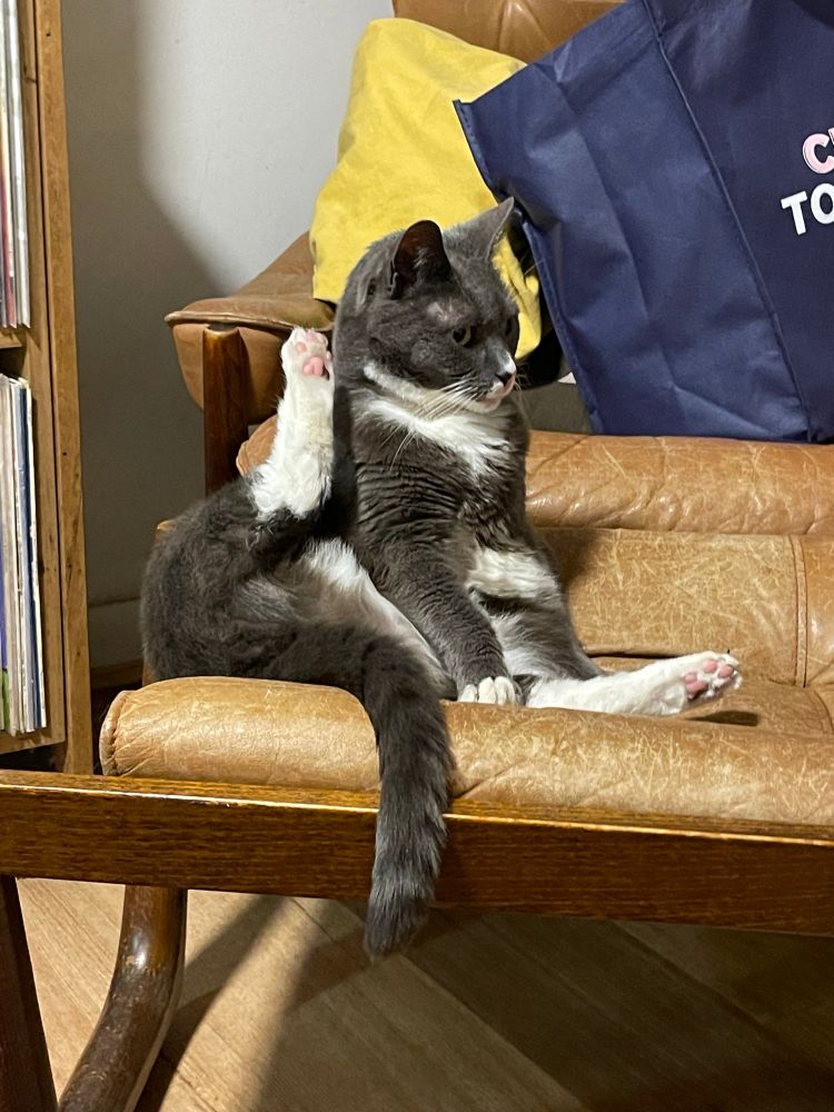 Nancy mid-wash
