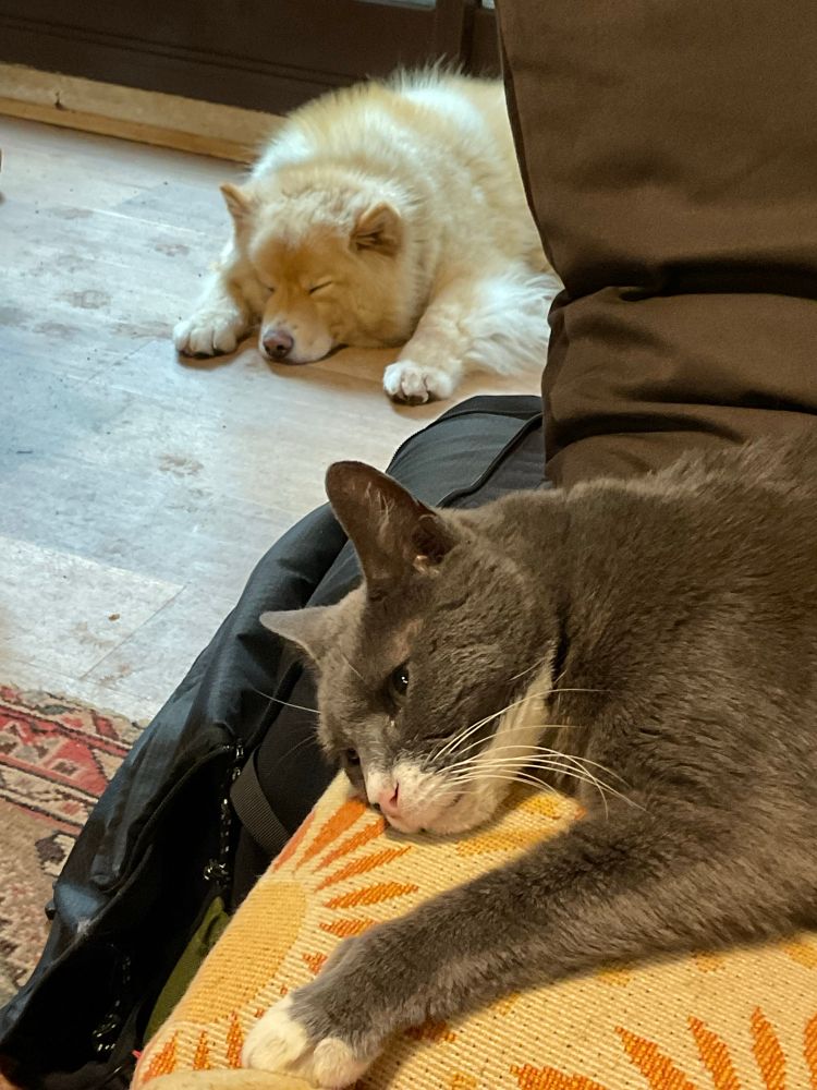 Angsty Nancy and zonked Perry