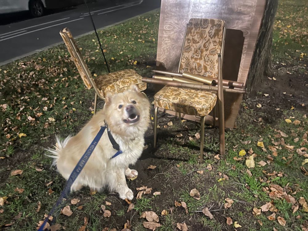 Perry and abandoned chairs