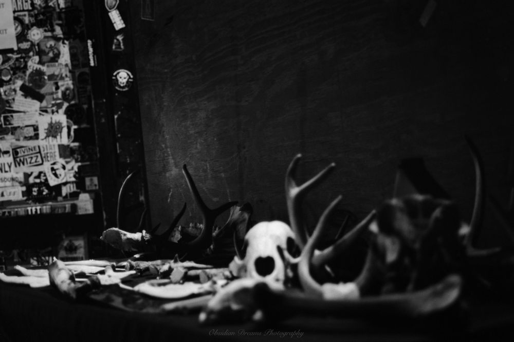 Black and white film photo depicting various bones and other props used in the music video for the title track off my metal band All Hell's forthcoming album.